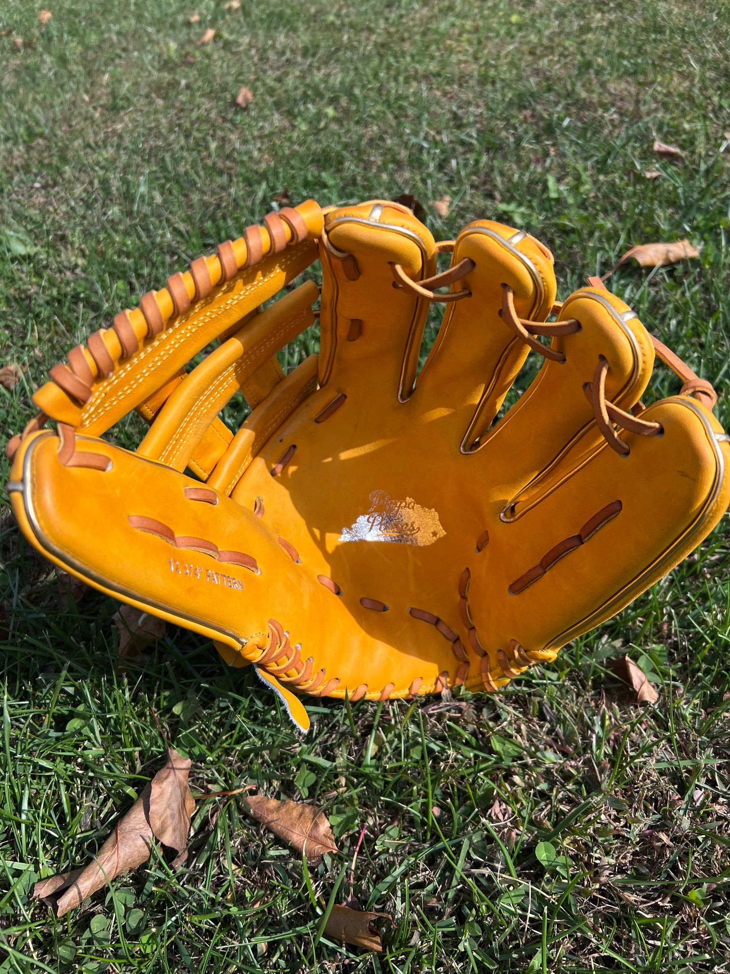 Kentucky Themed Glove