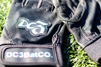 Black with chrome batting gloves