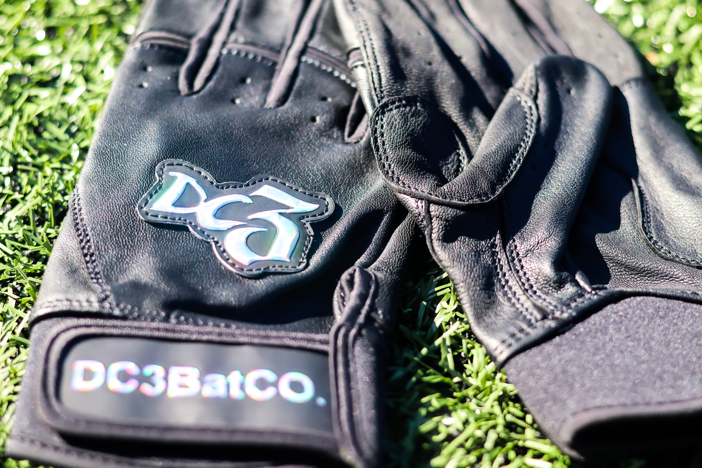 Black with chrome batting gloves